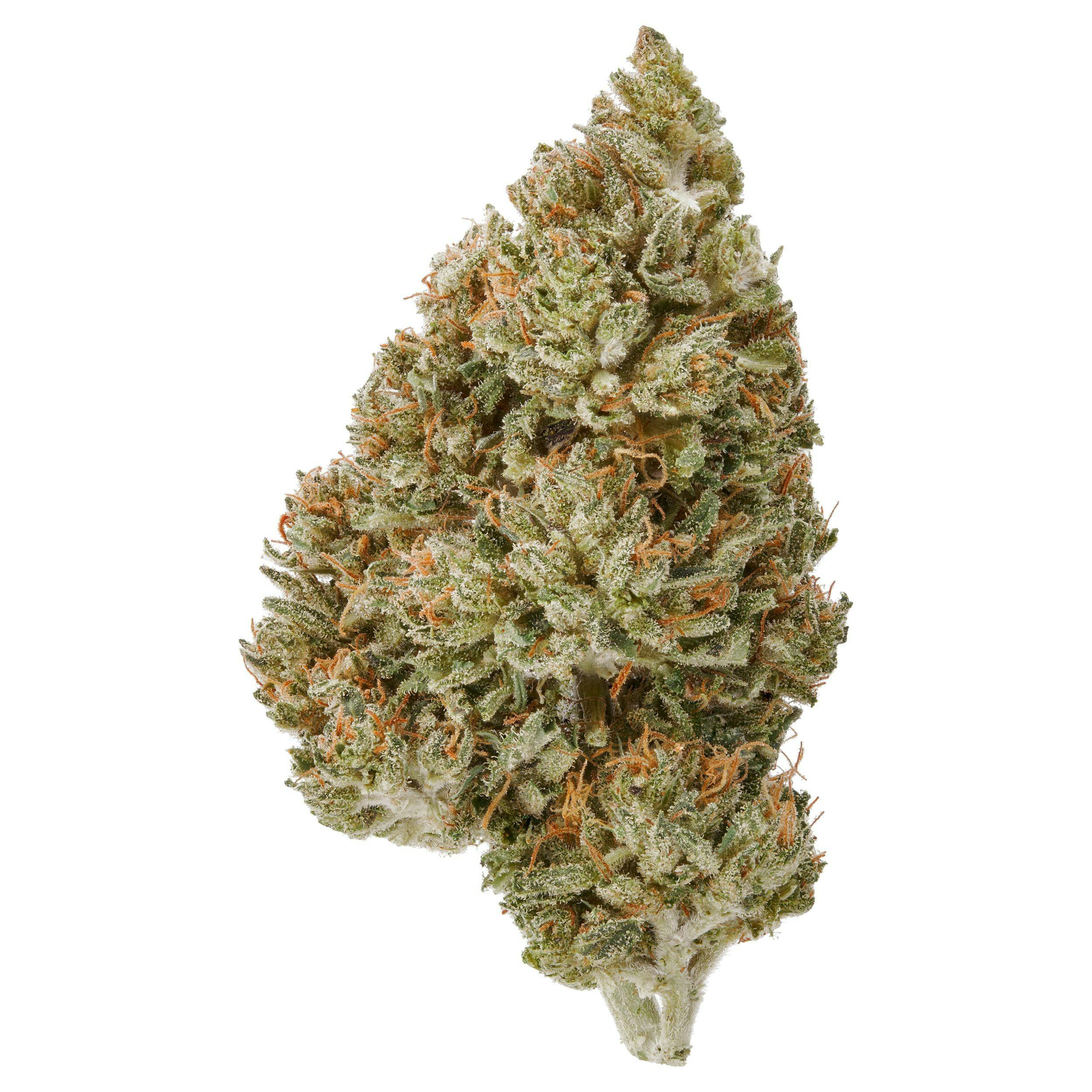 Plain Jane Blue Genius CBD Hemp Autoflower Leafly